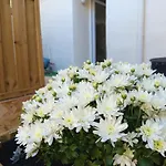 Résidence Des 4 Saison Appartement Cransac
