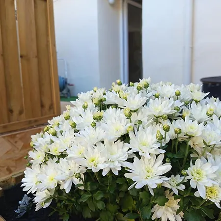 Des 4 Saison Διαμέρισμα Cransac